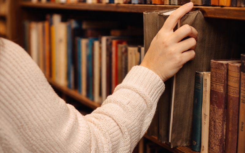 Welcome to My Bookshelf: Your Gateway to Independent Bookstores and Great Reads